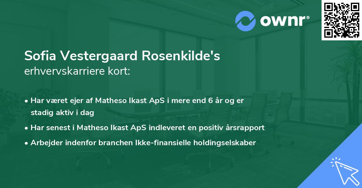 Sofia Vestergaard Rosenkilde's erhvervskarriere kort