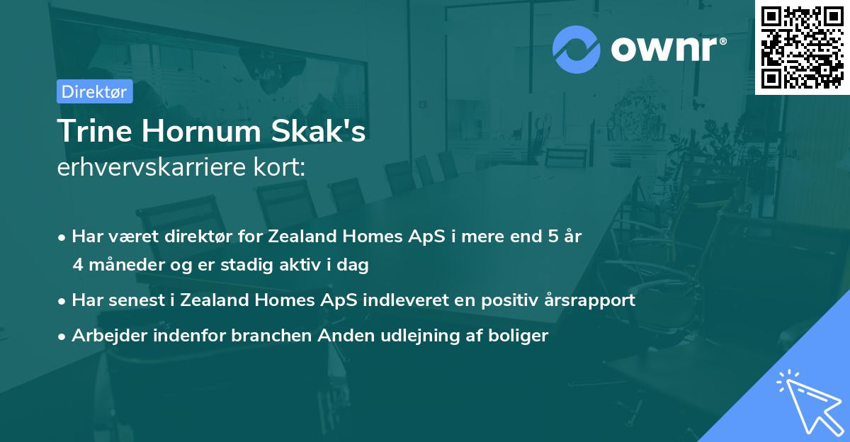 Trine Hornum Skak's erhvervskarriere kort