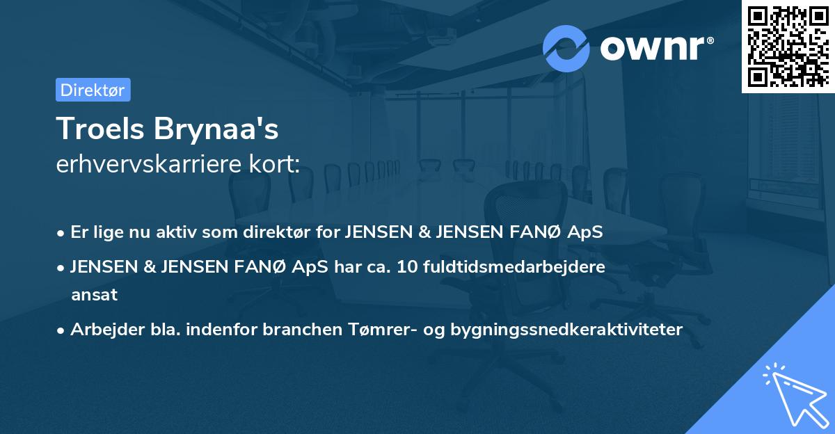 Troels Brynaa's erhvervskarriere kort