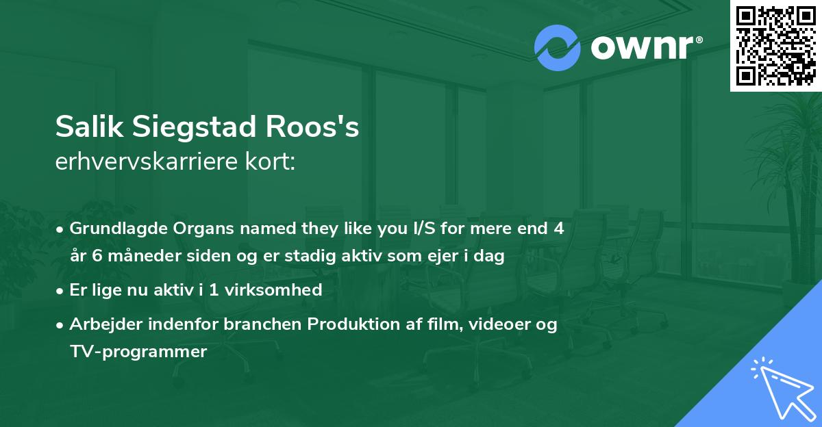 Salik Siegstad Roos's erhvervskarriere kort