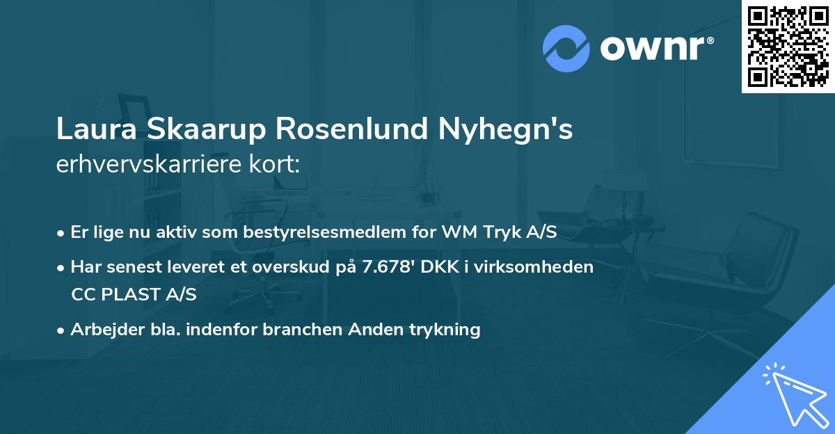 Laura Skaarup Rosenlund Nyhegn's erhvervskarriere kort