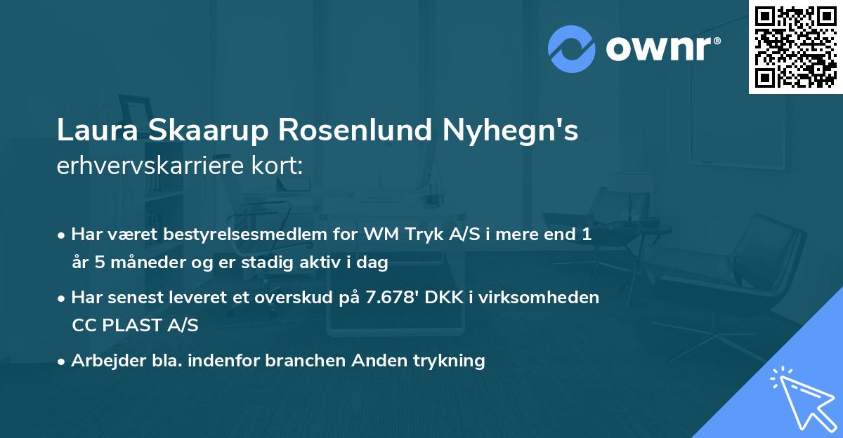 Laura Skaarup Rosenlund Nyhegn's erhvervskarriere kort