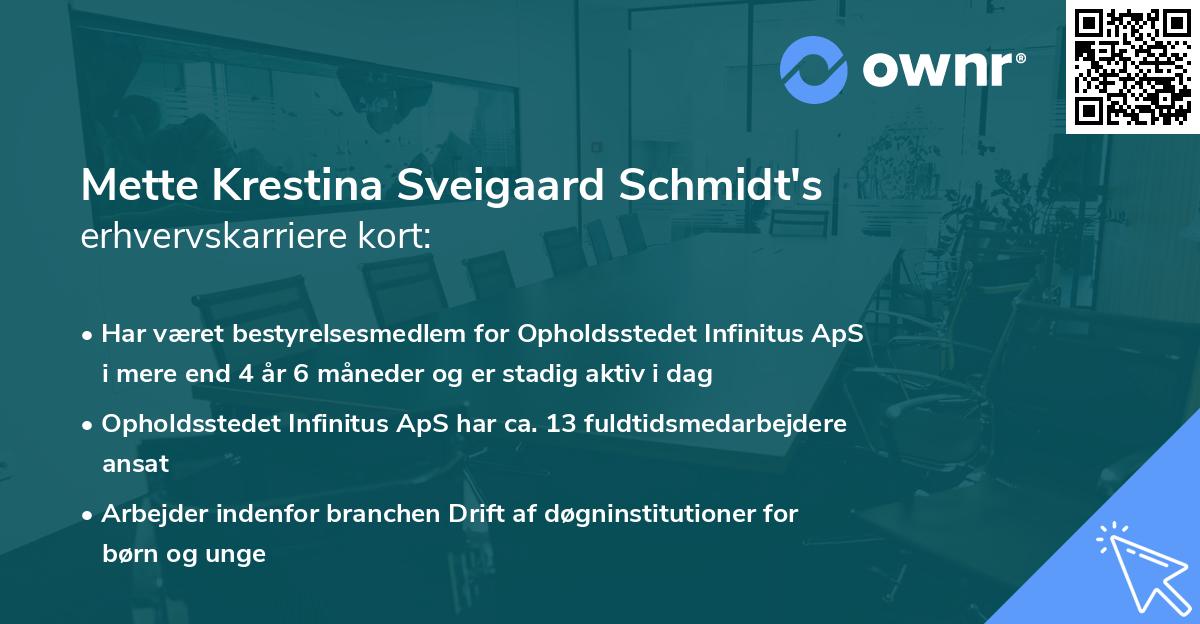 Mette Krestina Sveigaard Schmidt's erhvervskarriere kort