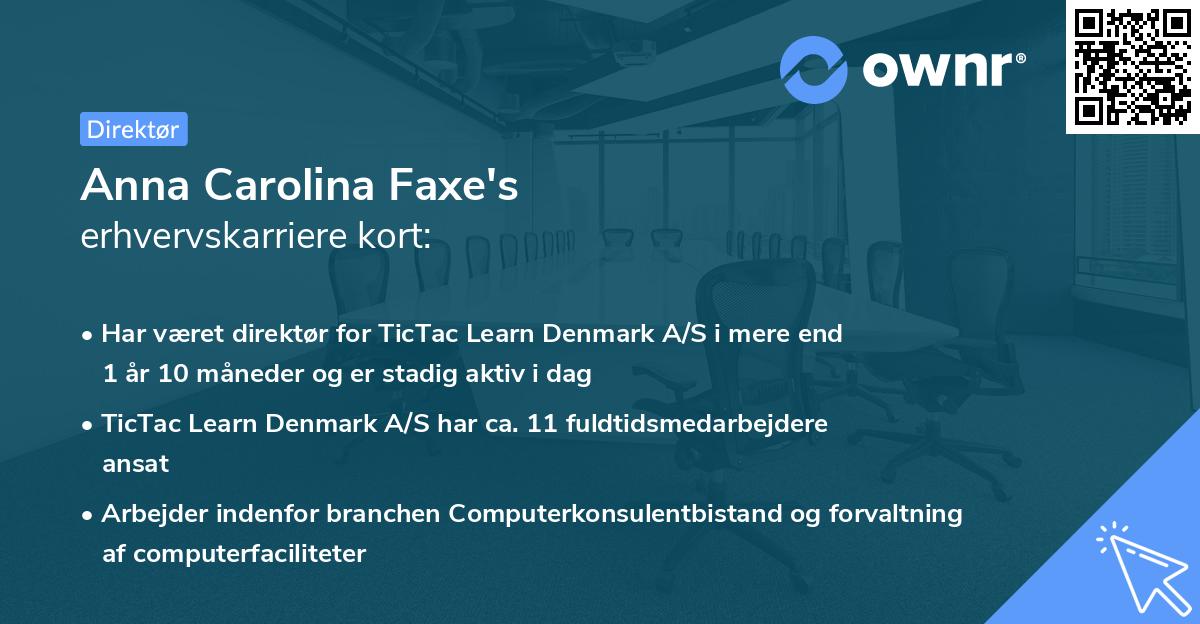 Anna Carolina Faxe's erhvervskarriere kort