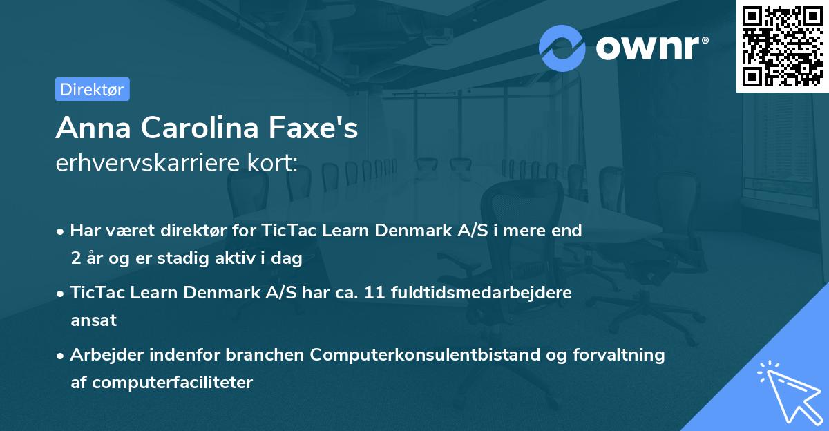 Anna Carolina Faxe's erhvervskarriere kort