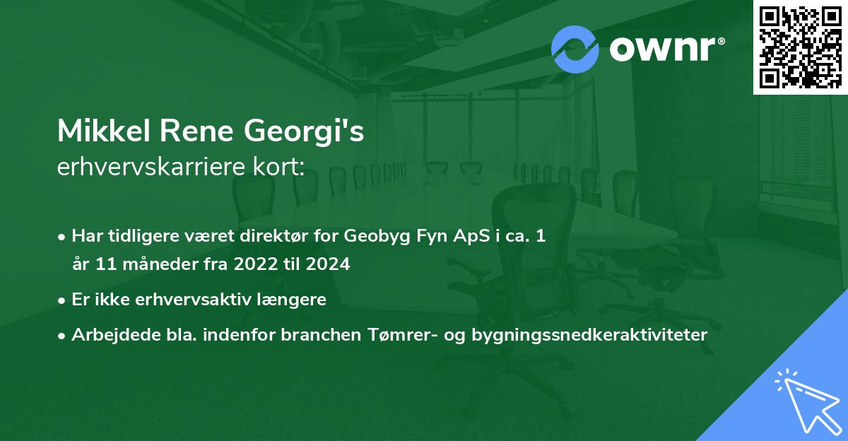 Mikkel Rene Georgi's erhvervskarriere kort