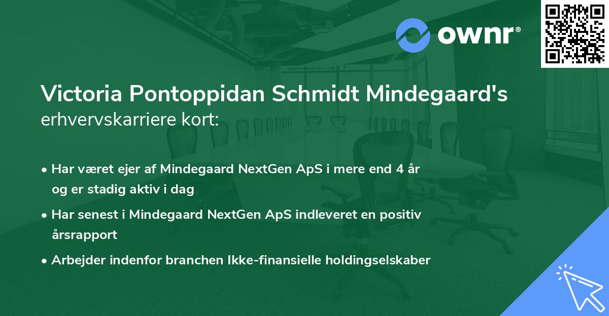 Victoria Pontoppidan Schmidt Mindegaard's erhvervskarriere kort