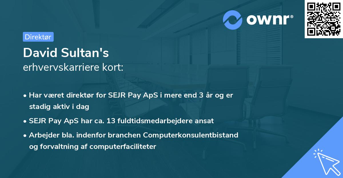 David Sultan's erhvervskarriere kort