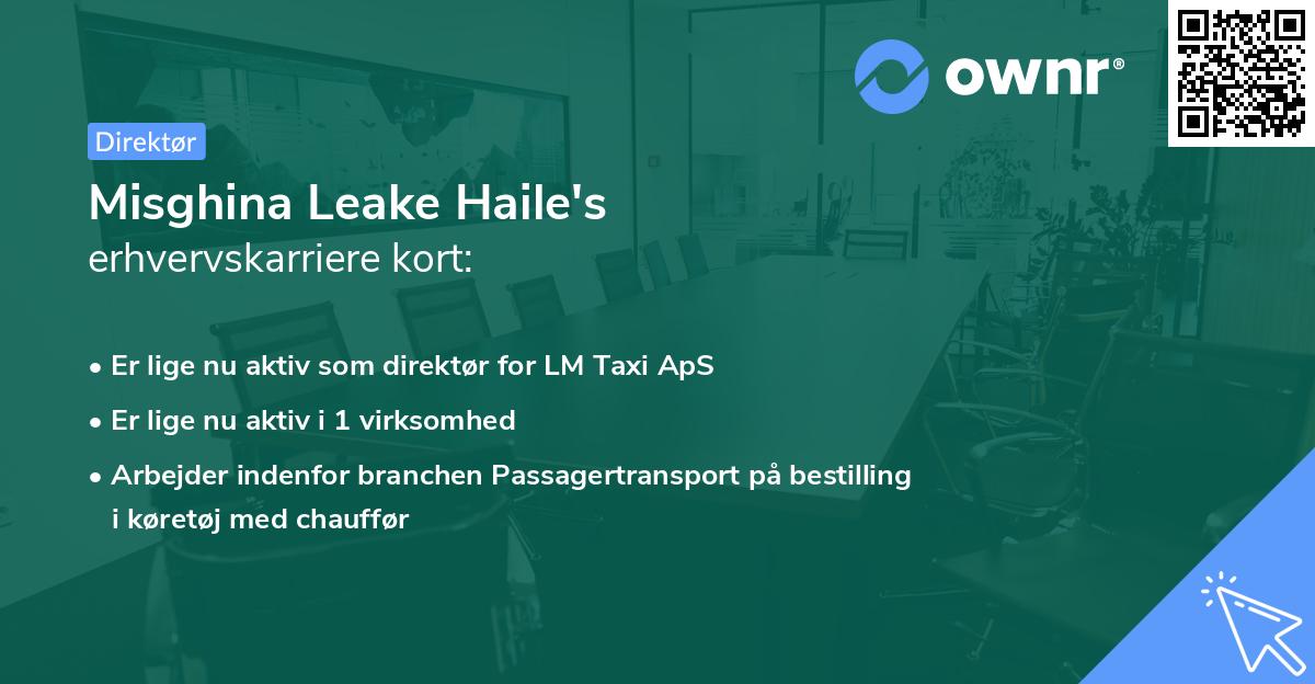 Misghina Leake Haile's erhvervskarriere kort