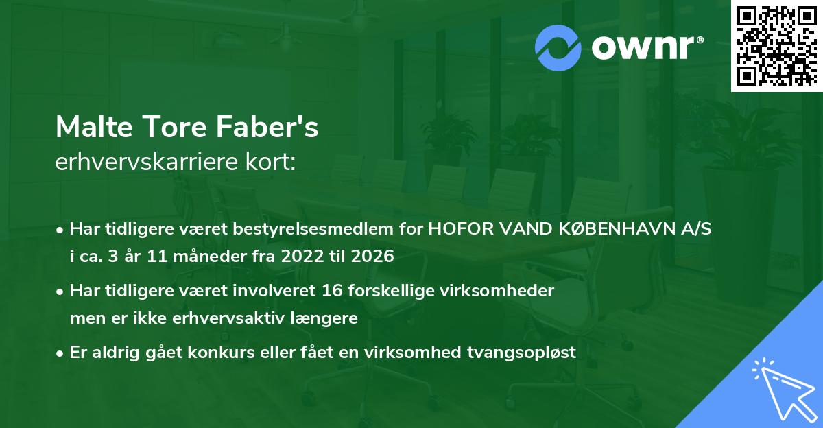 Malte Tore Faber's erhvervskarriere kort