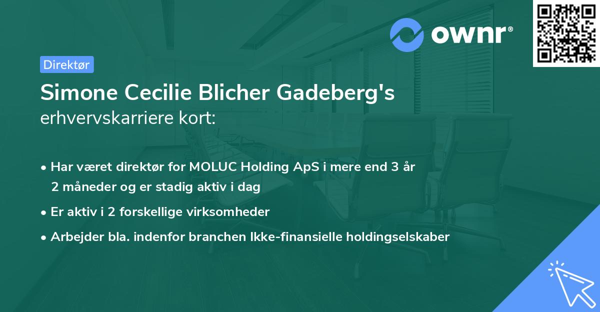 Simone Cecilie Blicher Gadeberg's erhvervskarriere kort