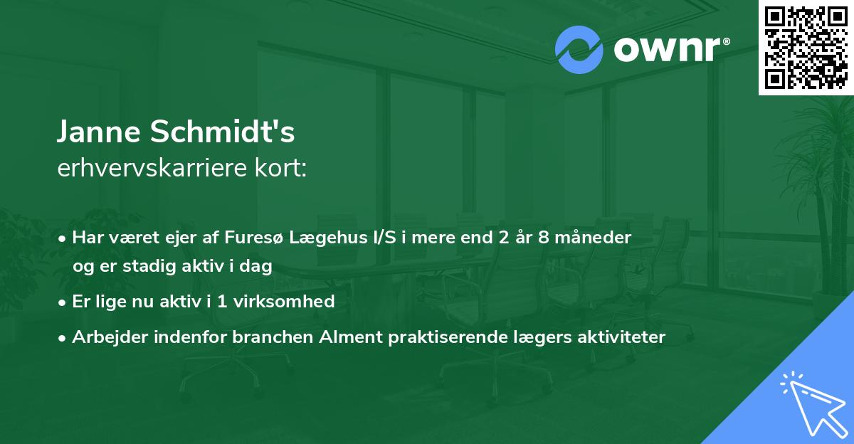 Janne Schmidt's erhvervskarriere kort