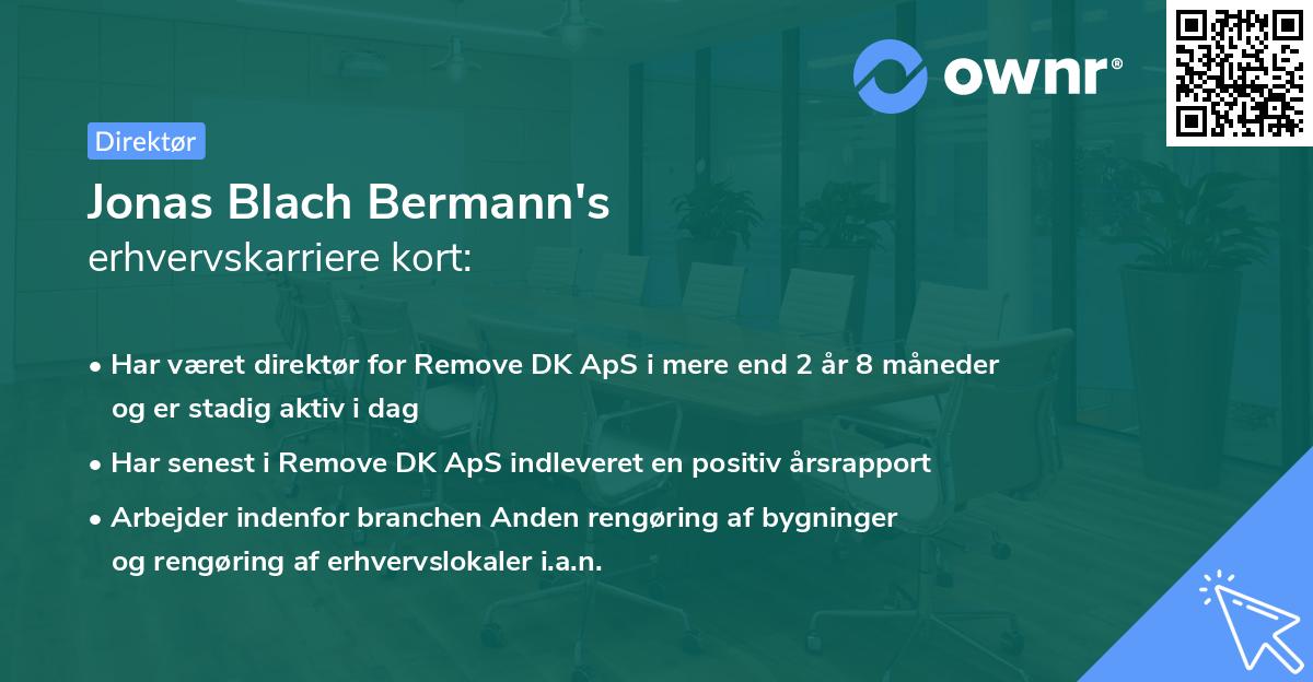 Jonas Blach Bermann's erhvervskarriere kort