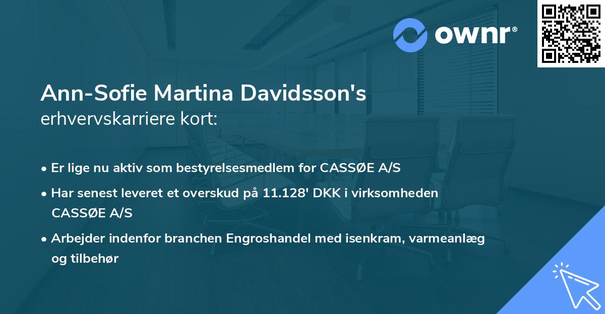 Ann-Sofie Martina Davidsson's erhvervskarriere kort