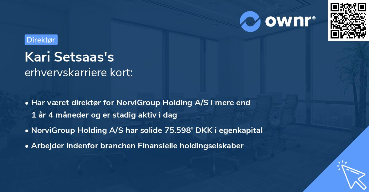 Kari Setsaas's erhvervskarriere kort