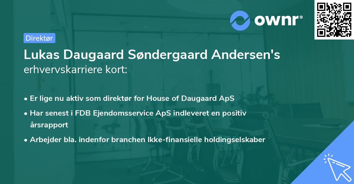 Lukas Daugaard Søndergaard Andersen's erhvervskarriere kort