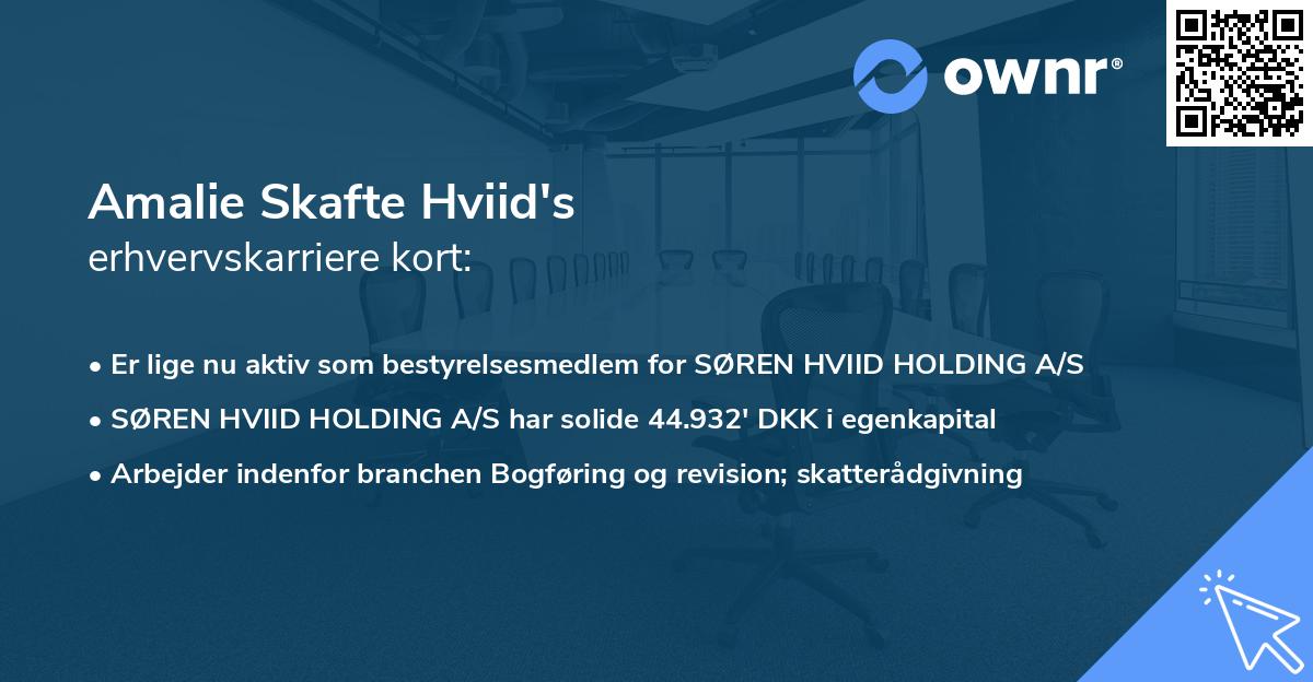 Amalie Skafte Hviid's erhvervskarriere kort