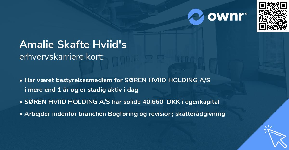 Amalie Skafte Hviid's erhvervskarriere kort