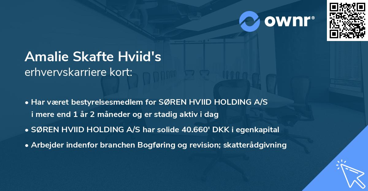 Amalie Skafte Hviid's erhvervskarriere kort