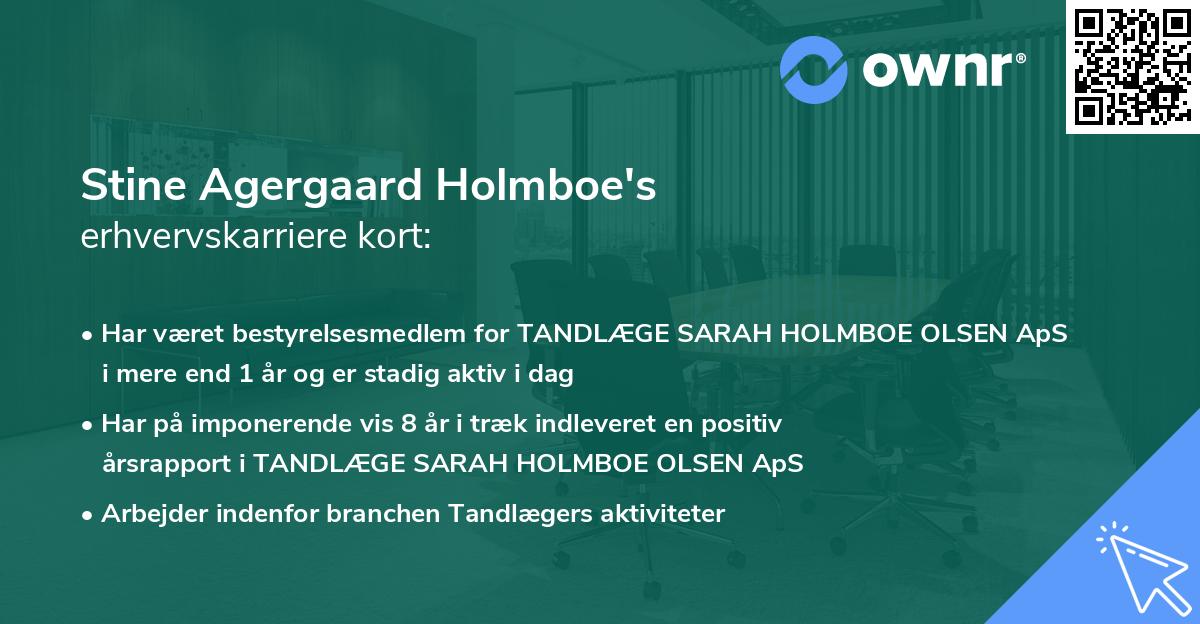 Stine Agergaard Holmboe's erhvervskarriere kort