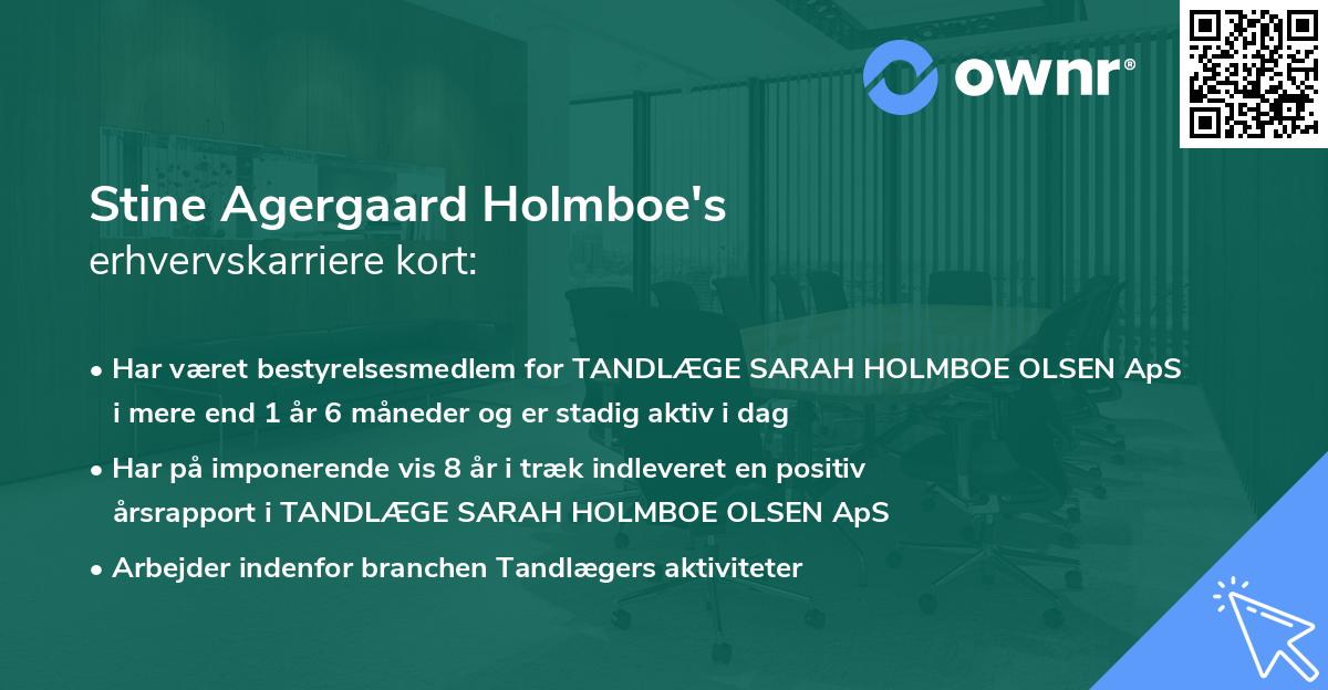 Stine Agergaard Holmboe's erhvervskarriere kort