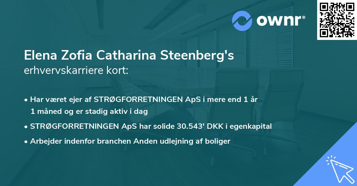Elena Zofia Catharina Steenberg's erhvervskarriere kort