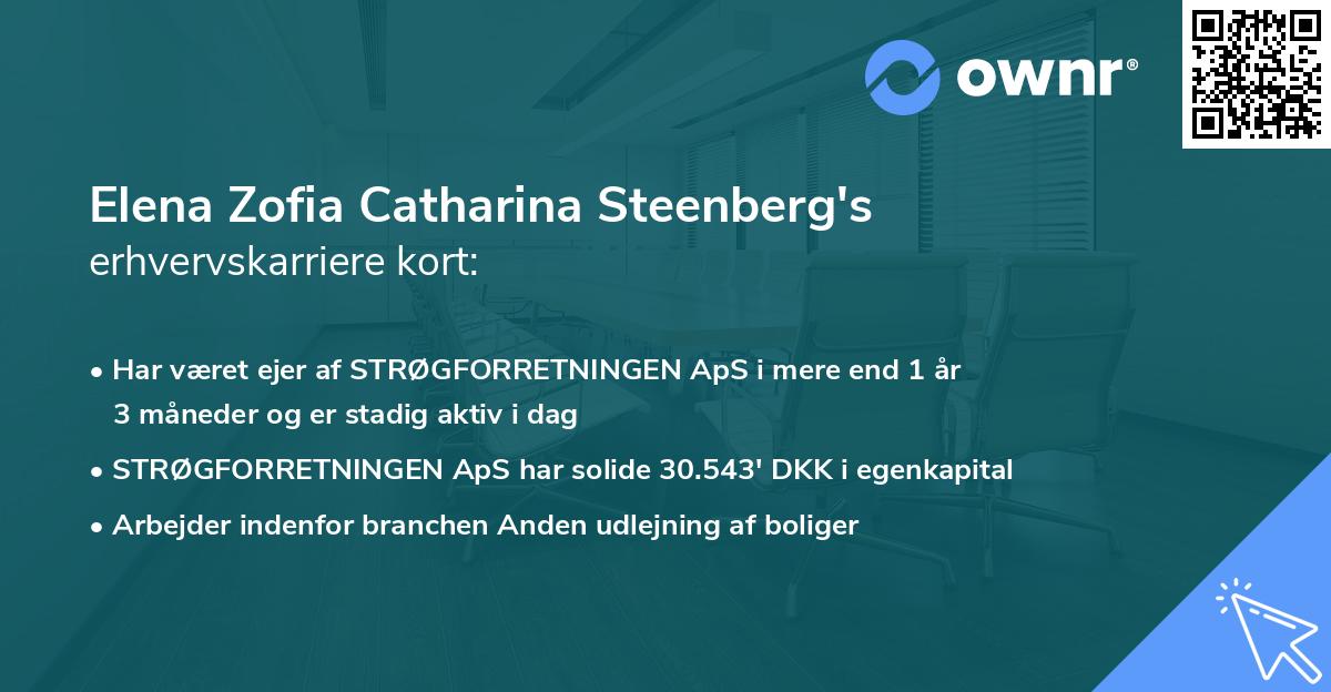 Elena Zofia Catharina Steenberg's erhvervskarriere kort