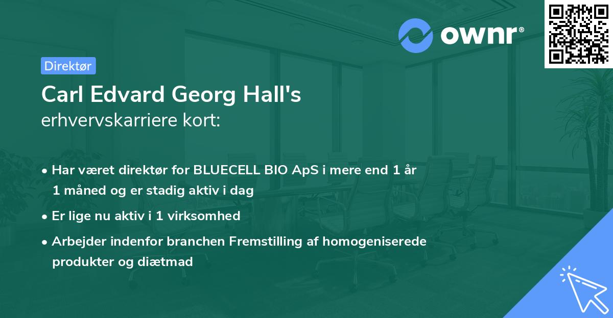 Carl Edvard Georg Hall's erhvervskarriere kort