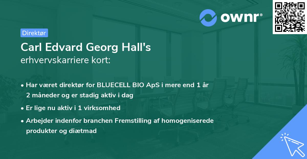 Carl Edvard Georg Hall's erhvervskarriere kort