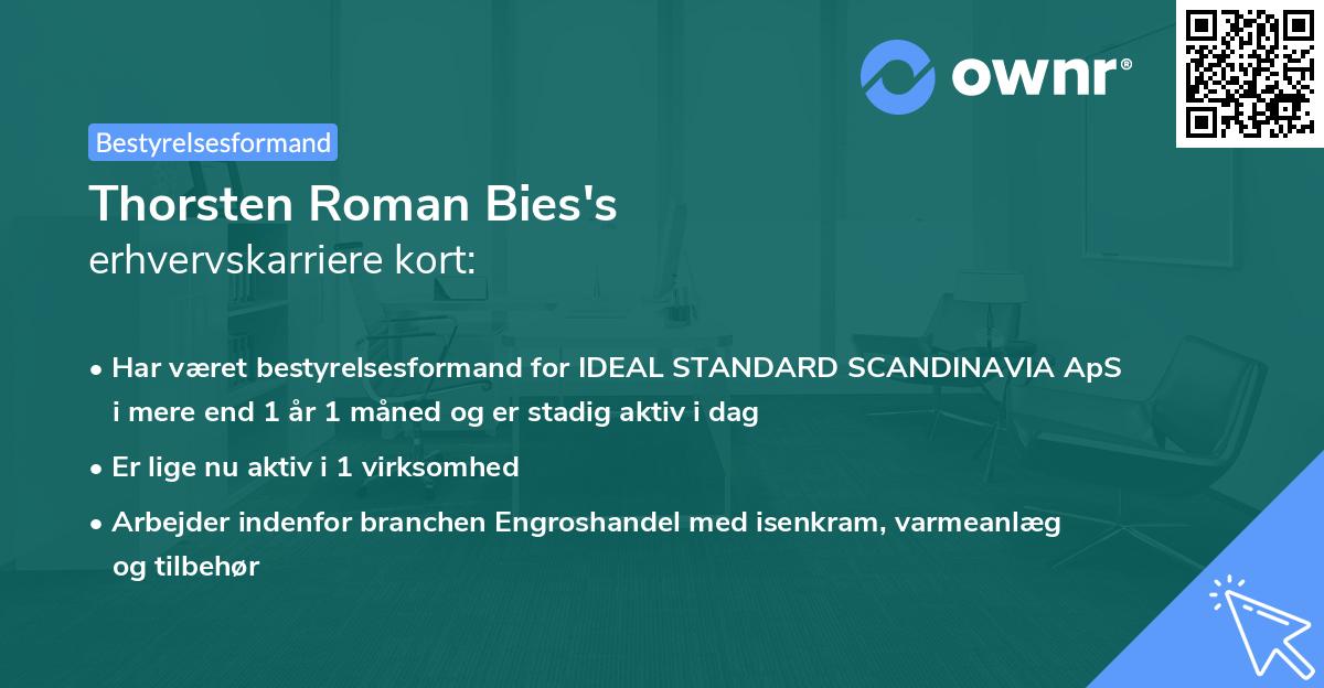 Thorsten Roman Bies's erhvervskarriere kort