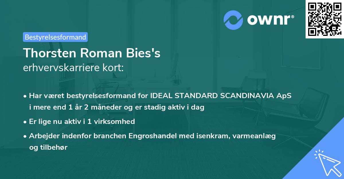 Thorsten Roman Bies's erhvervskarriere kort