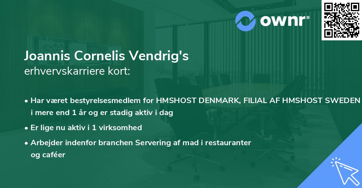 Joannis Cornelis Vendrig's erhvervskarriere kort