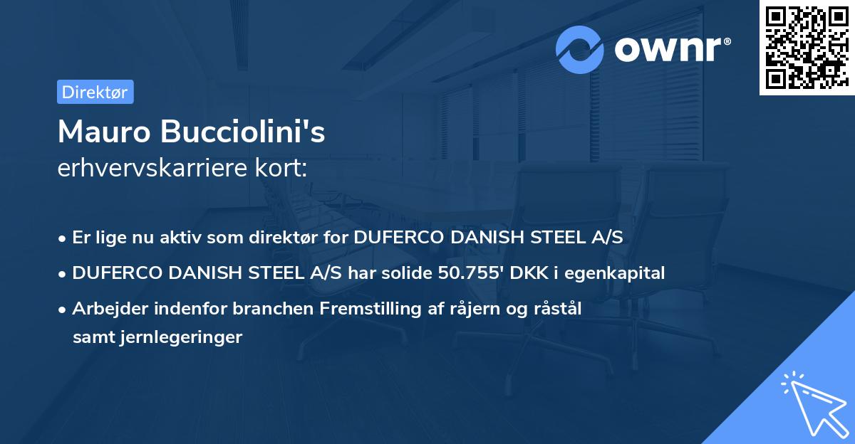 Mauro Bucciolini's erhvervskarriere kort