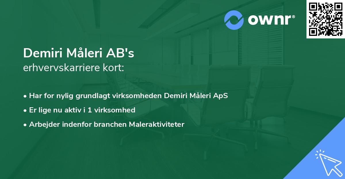 Demiri Måleri AB's erhvervskarriere kort