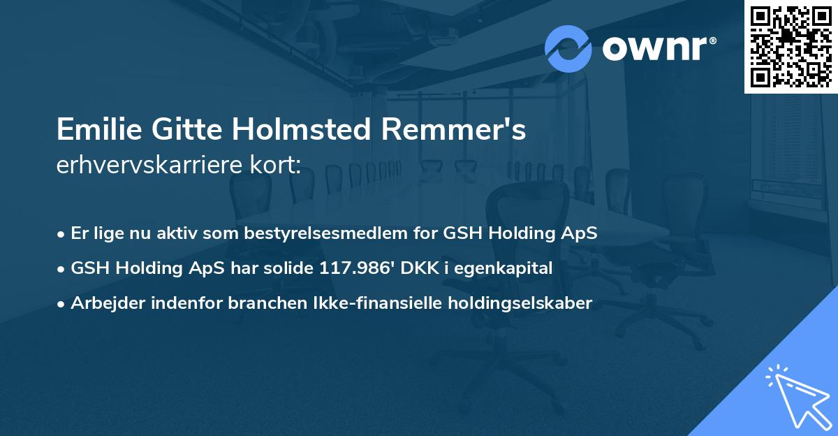 Emilie Gitte Holmsted Remmer's erhvervskarriere kort