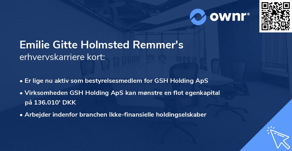 Emilie Gitte Holmsted Remmer's erhvervskarriere kort