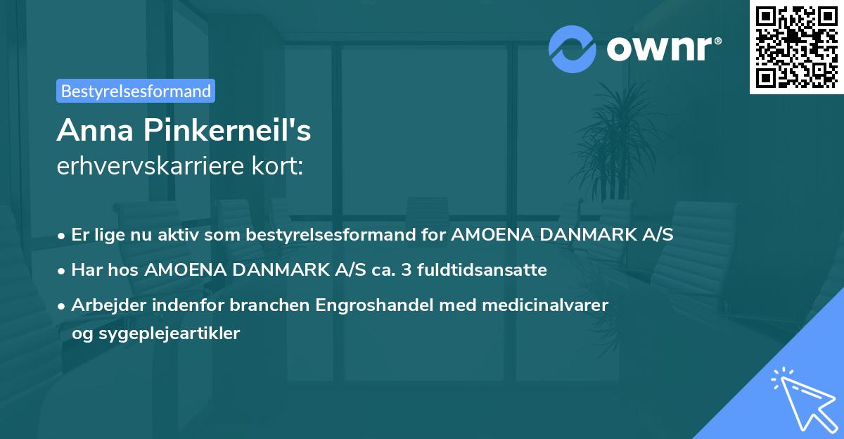 Anna Pinkerneil's erhvervskarriere kort