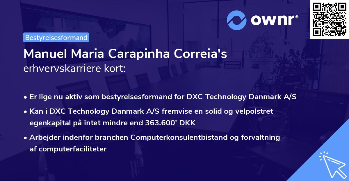 Manuel Maria Carapinha Correia's erhvervskarriere kort