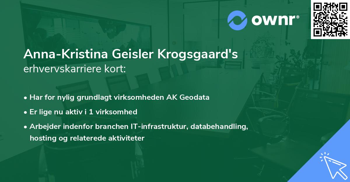 Anna-Kristina Geisler Krogsgaard's erhvervskarriere kort