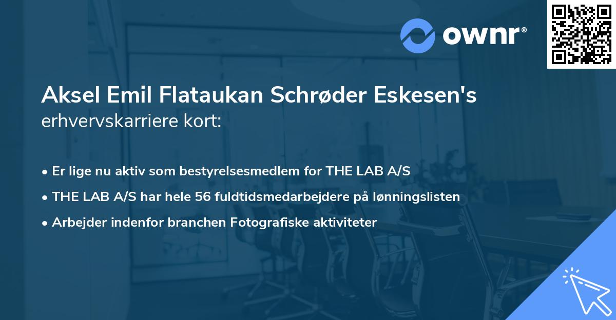 Aksel Emil Flataukan Schrøder Eskesen's erhvervskarriere kort
