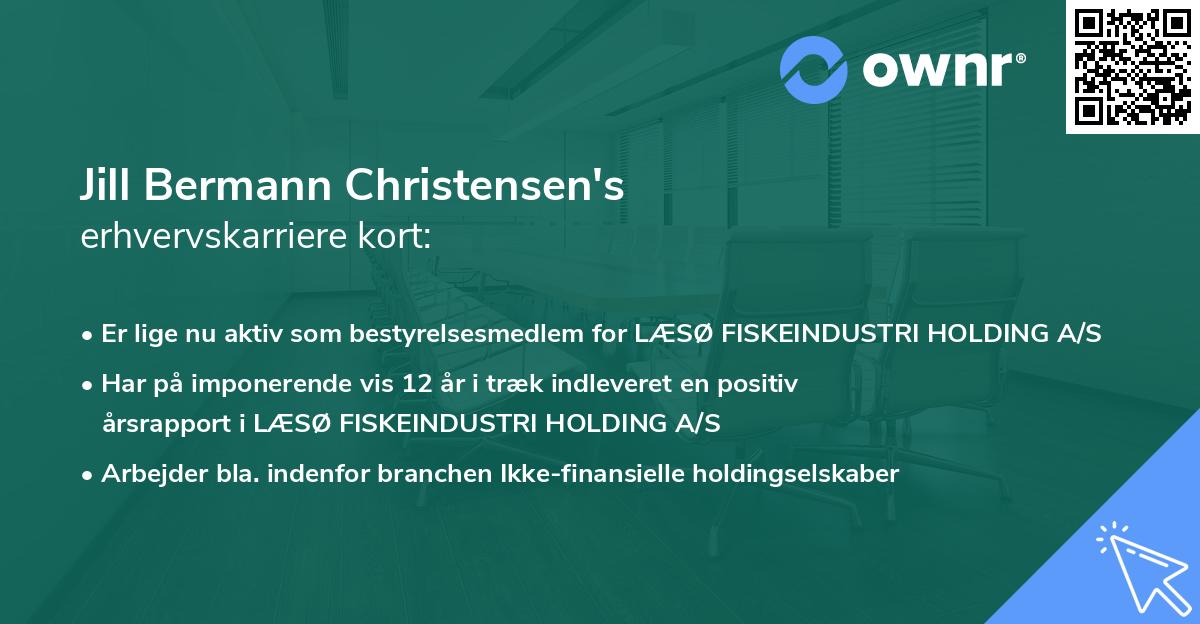 Jill Bermann Christensen's erhvervskarriere kort