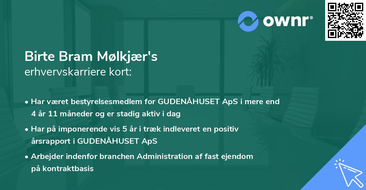 Birte Bram Mølkjær's erhvervskarriere kort