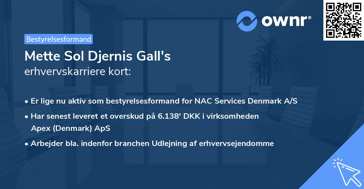 Mette Sol Djernis Gall's erhvervskarriere kort