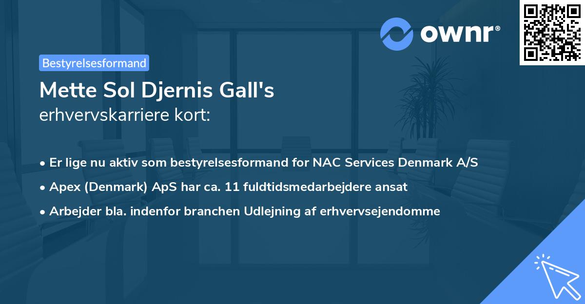 Mette Sol Djernis Gall's erhvervskarriere kort
