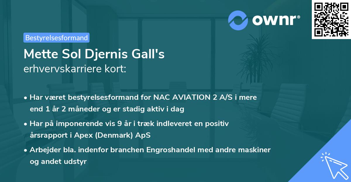 Mette Sol Djernis Gall's erhvervskarriere kort
