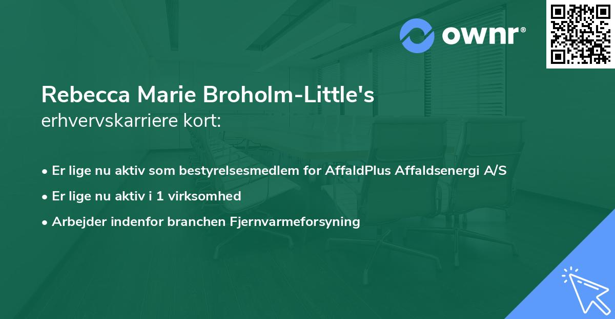 Rebecca Marie Broholm-Little's erhvervskarriere kort