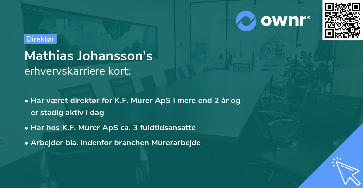 Mathias Johansson's erhvervskarriere kort