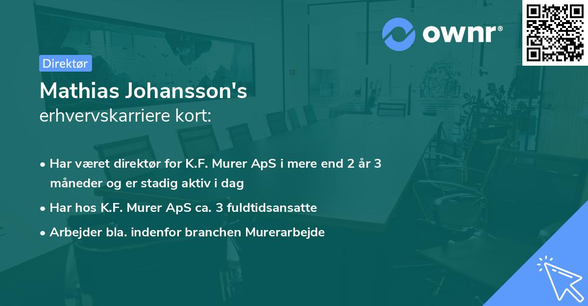 Mathias Johansson's erhvervskarriere kort