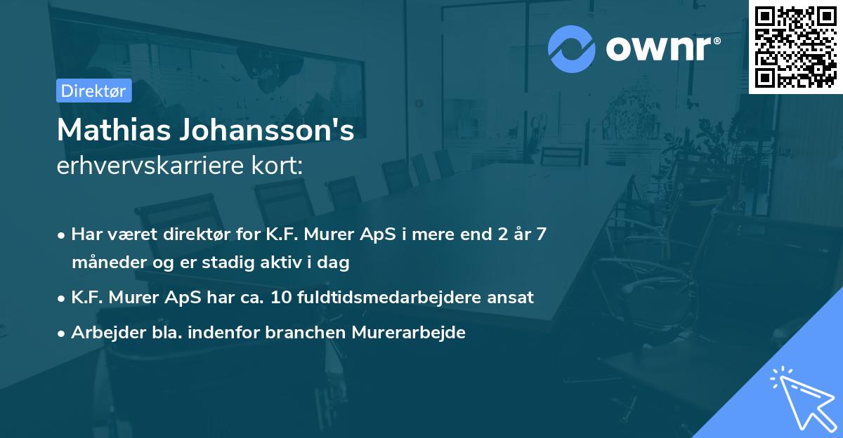 Mathias Johansson's erhvervskarriere kort