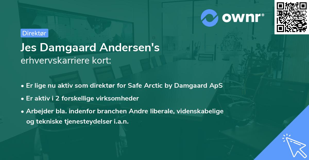 Jes Damgaard Andersen's erhvervskarriere kort